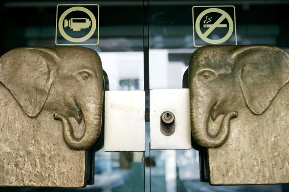 Družba Loxodonta v prevzem Hotela Slon