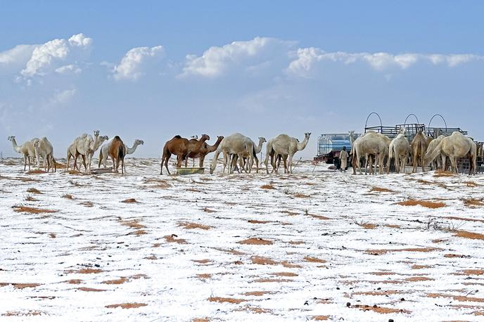 Puščava | Velika puščavska območja v Savdski Arabiji so te dni zajele za to območje redke snežne padavine. | Foto Guliverimage