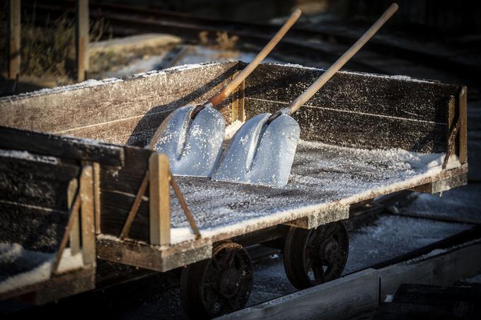 V Sečoveljskih solinah pridobivajo štiri vrste soli, vse po tradicionalni avstro-ogrski metodi. | Foto: Bojan Puhek