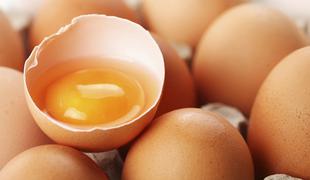 Obtožbe na račun Nizozemske zaradi jajc vse hujše