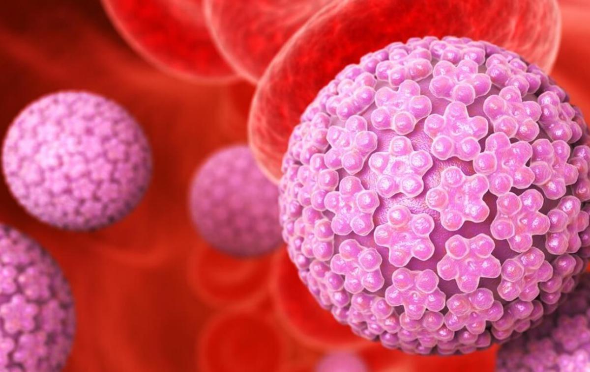 HPV | Humani papiloma virus (HPV) lahko v najslabših primerih in neodkrit povzroči najtežje oblike raka. | Foto Getty Images