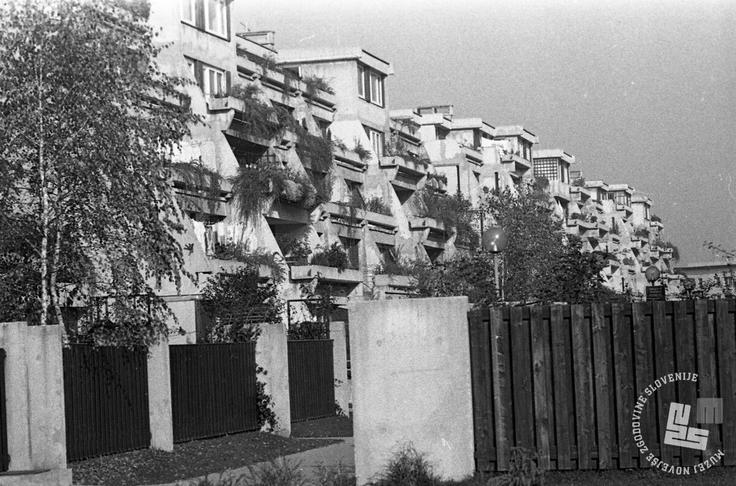 Koseze oktobra 1978.  | Foto: Janez Pukšič, hrani: MNZS.