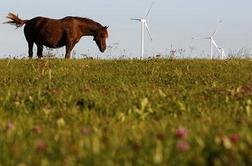 Trg z vetrno energijo se naglo širi