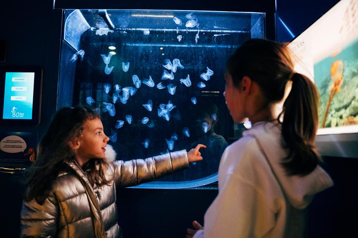 McDonald's, Akvarij Piran | Foto: Jan Lukanović