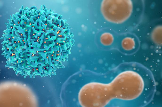 Rakave Celice | Celica T, ki je v naši krvi, bi bila lahko zdravilo za številne oblike rakavih obolenj. | Foto Getty Images