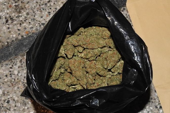 policija, droga, zasežena droga | Pri 20-letnem osumljencu so policisti na drugi lokaciji zasegli okoli 400 gramov posušene zelenorjave rastline. | Foto PU Nova Gorica