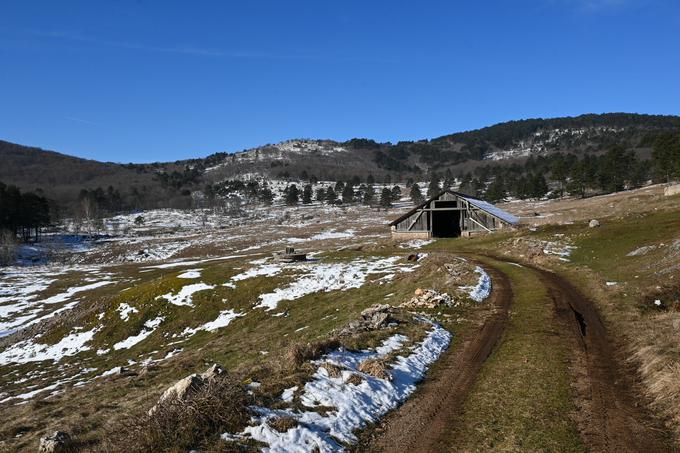 Na Slavnik čez planino Jegno | Foto: Matej Podgoršek