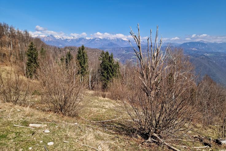 Pohod po robu grebena med Velikimi in Malimi Vršami. Desno pogled proti dolini Idrijce, Poreznu in naprej proti Spodnjim Bohinjskim goram. | Foto: Matej Podgoršek