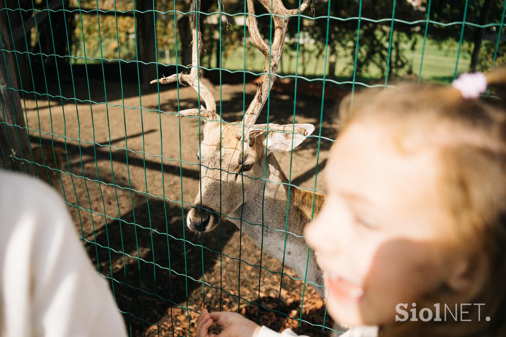 marolt zoo land mcdonalds