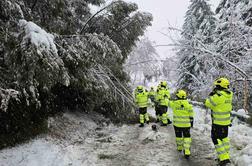 Mariborska občina: Izogibajte se dreves