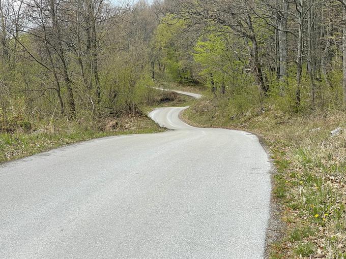 V soboto je prek mejnega prehoda Radovica mogoč dostop do najdaljše hitrostne preizkušnje relija, ki ponuja tudi zelo privlačne kombinacije ovinkov. | Foto: Gregor Pavšič