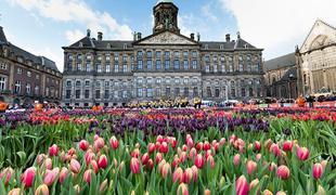 Amsterdam: barvito mesto kanalov, koles, cvetja in omame