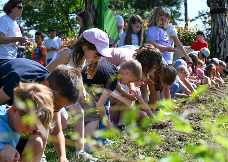 Sejemo sončno prihodnost Divača | Foto: Slovenske železnice