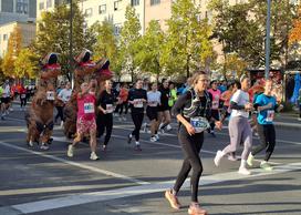 Lj maraton