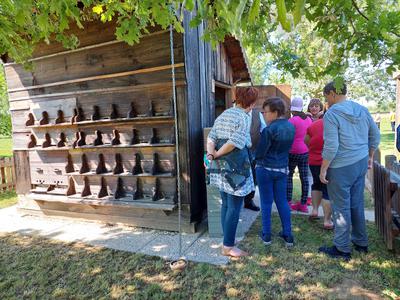 Kako lahko zaposleni v Lidlu podprejo društva, v katerih delujejo sami
