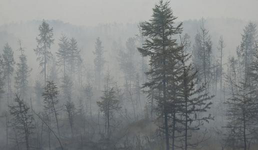 Na Braču izbruhnil gozdni požar