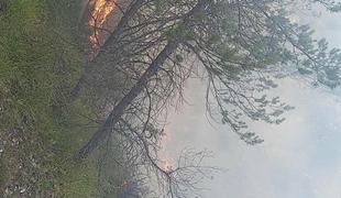 Zagorelo na strmem in nedostopnem terenu nad Žerjavom