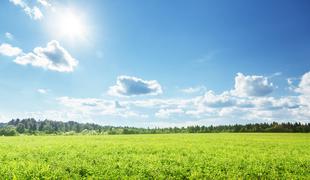 Bo nedelja res prinesla sonce? Vremenoslovci napovedujejo spremembo.