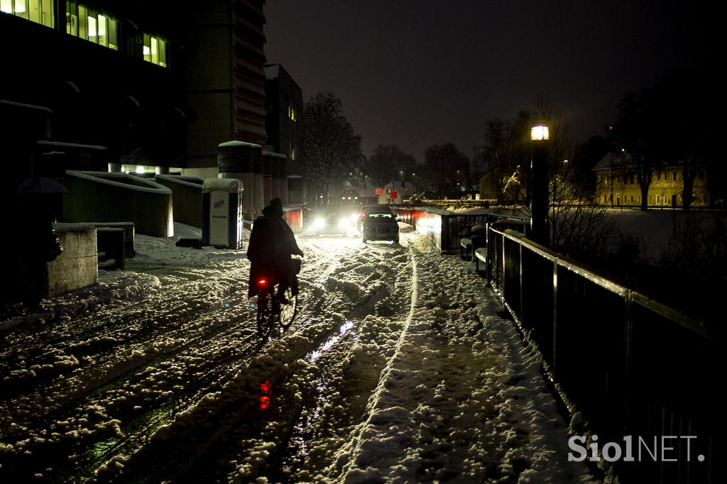 sneg v Ljubljani