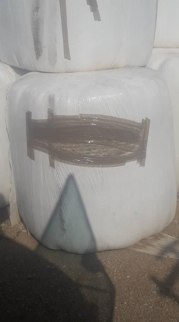 Kmet, ki je prerezane bale odkril v tem tednu, je reze želel prekriti z lepilnim trakom, a zaradi vremenskih razmer in materiala ni bil uspešen. | Foto: osebni arhiv/Lana Kokl