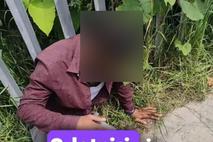 Pedofil