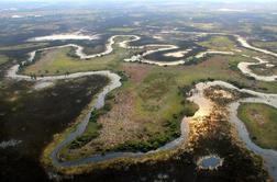 Baročna delta reke Okavango