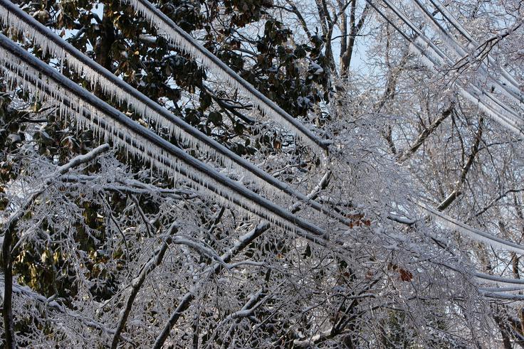 Led na električnih daljnovodih po ledeni nevihti, ki je prizadela Louisville | Foto: Reuters