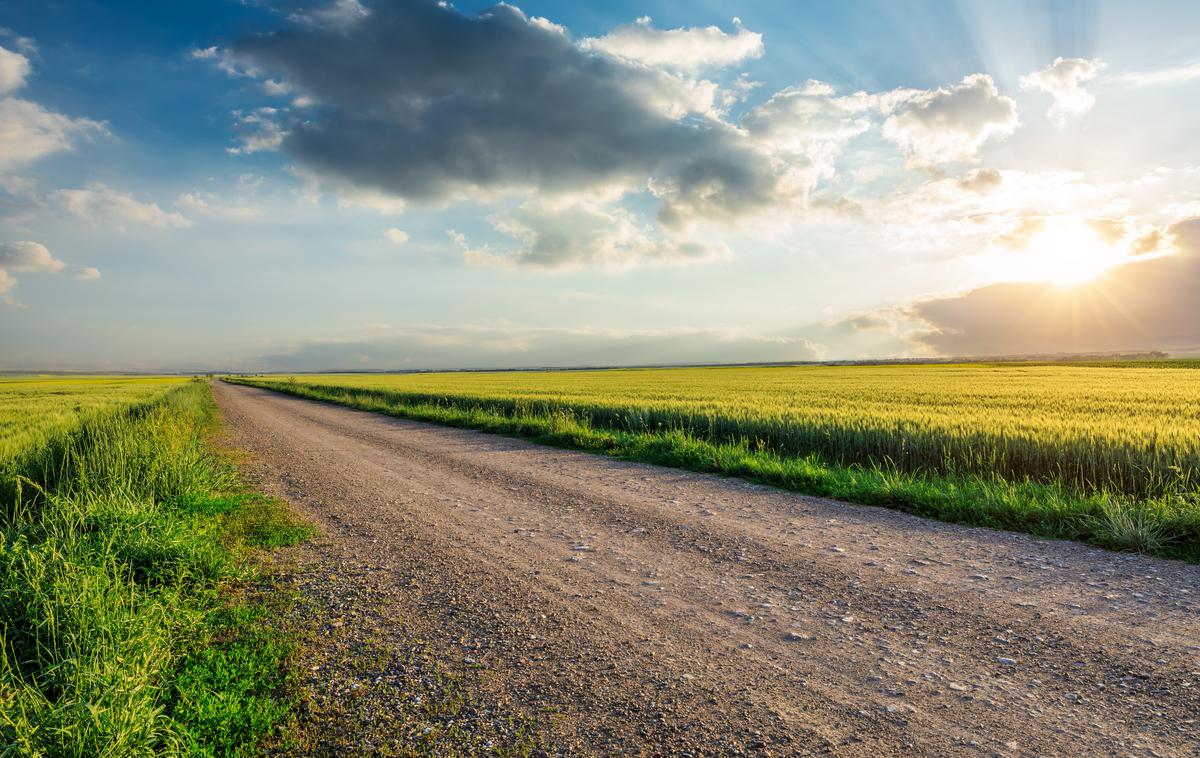 cesta makadam polje | Foto Shutterstock