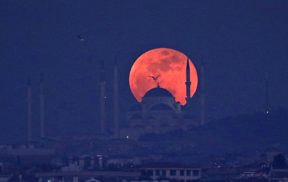 Lunin mrk, rdeča luna, krvava luna | Že leta 2022 je Nasa podelila tri pogodbe v vrednosti pet milijonov dolarjev za načrtovanje jedrskega reaktorja na luni. Maja letos pa sta Kitajska in Rusija napovedali, da načrtujeta izgradnjo avtomatizirane jedrske elektrarne na Luni do leta 2035. | Foto Reuters