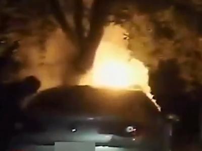 Na območju Nove Gorice izbruhnilo več požarov. Verjetno so bili podtaknjeni.