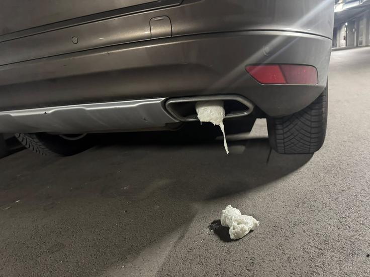 Avtomobil Dominike Švarc Pipan | Foto: Facebook/Dominika Švarc Pipan