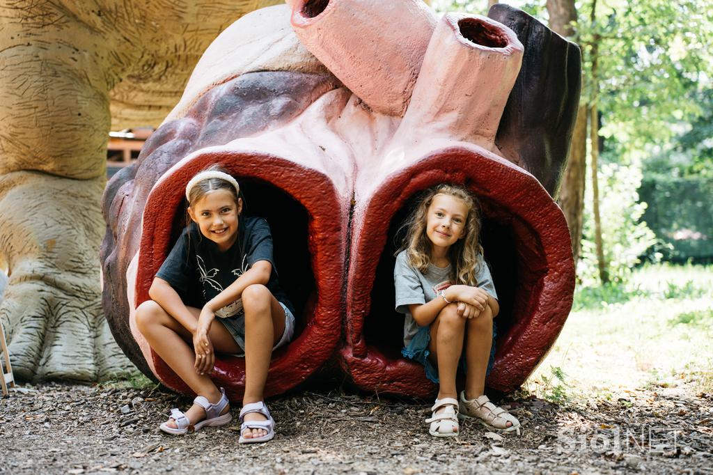 mcdonalds jure marolt dino park