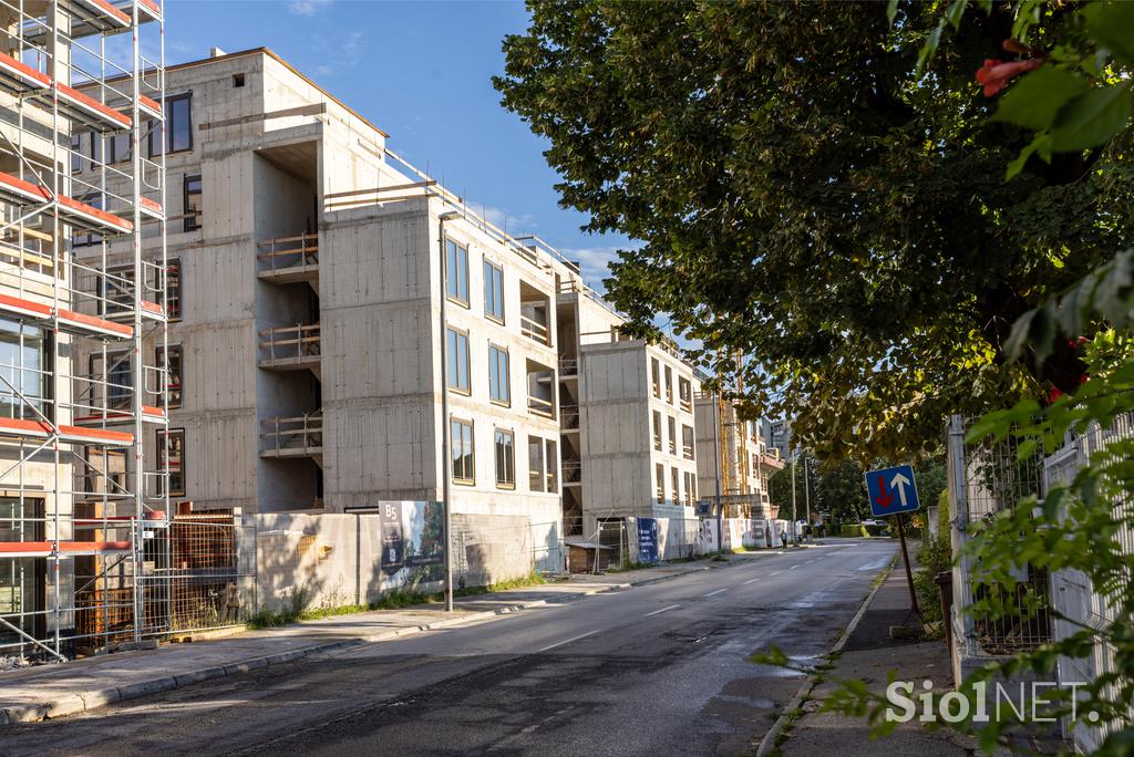 Bežigrajska petka, avgust 2025