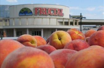 Fructal najboljša blagovna znamka 2010 po izboru potrošnikov