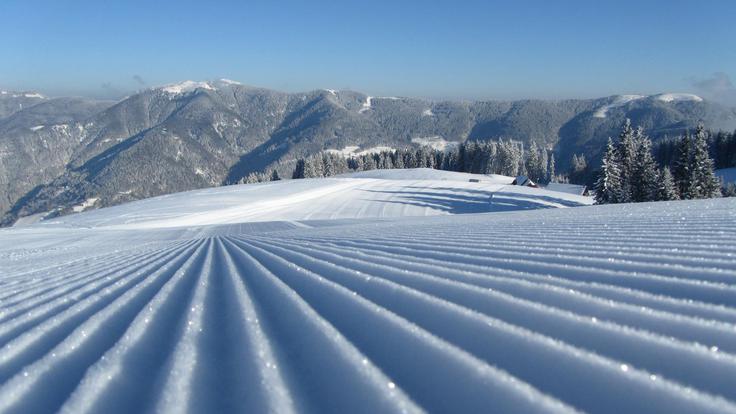 Na Golteh boste ta konec tedna smučali po ugodnejših cenah.  | Foto: Facebook