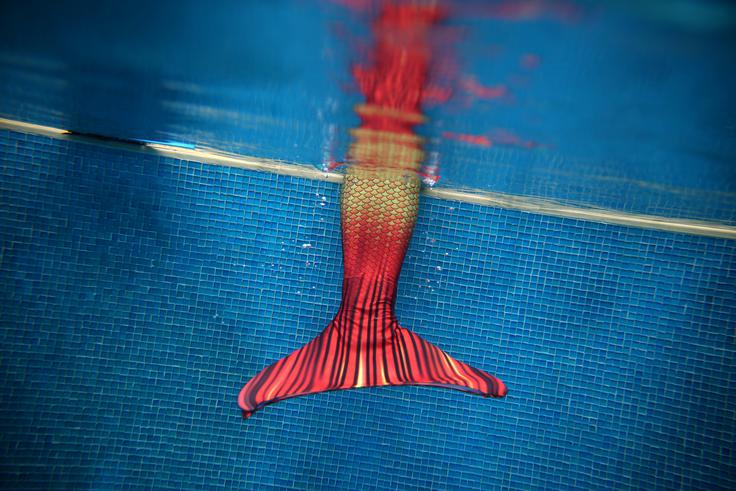 Morska deklica | Foto: Reuters