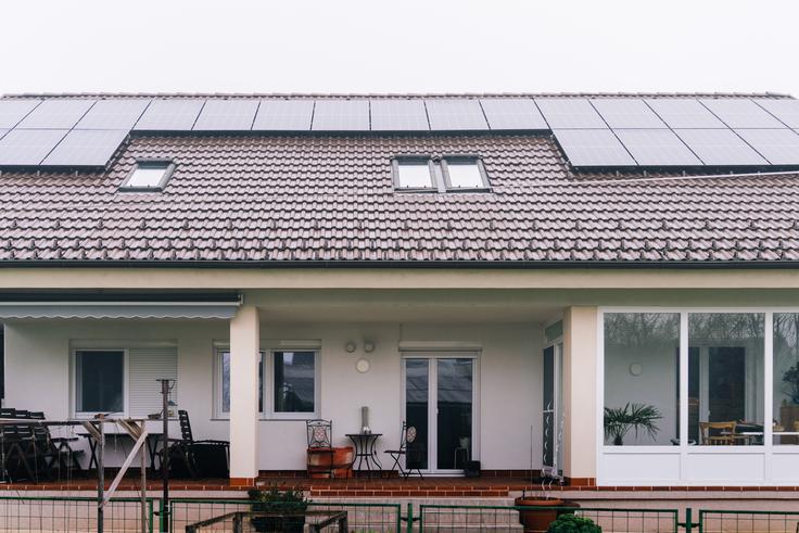 ngen anton | Foto: Jan Lukanović