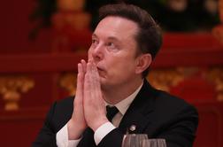 "To je država, ki jo hoče kupiti Elon Musk"