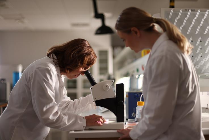 evropska komisija Anna Sandak in Anja Černoša sodelujeta v isti ekipi  | Foto: © Evropska unija 2025