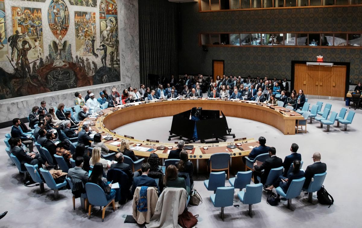 Varnostni svet ZN | Foto Reuters