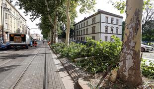 Neurje klestilo tudi po Hrvaški. Najhuje je bilo v Zagrebu.