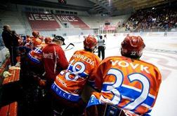 Podmežakla v pričakovanju zveri