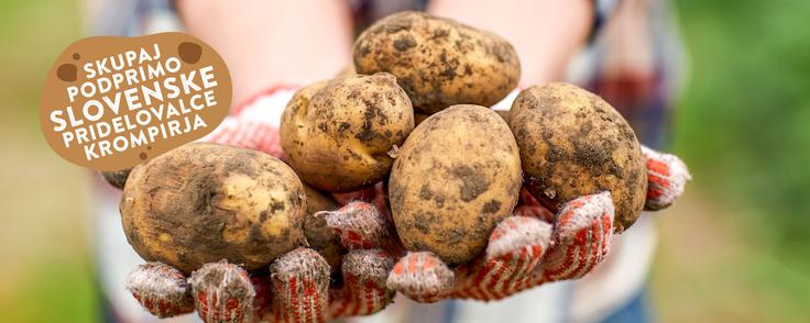 V Sloveniji je znanih okoli 135 ljudskih imen za krompir, kot so debeli bob, krumpli, brnica, grampor, čompe, kartofel itd.| Foto: Spar | Foto: 