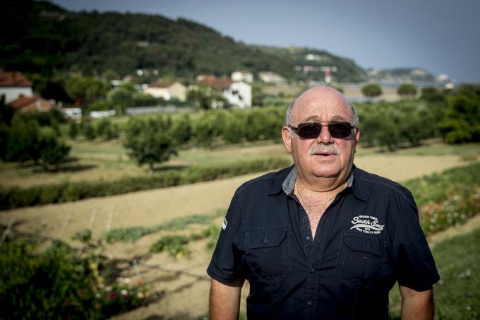 Gianfranco Giassi se vsako leto s sodelavci Turističnega društva Solinar potruid, da izpeljejo praznik kakijev in prodajo večino pridelka strunjanskih zlatih jabolk. | Foto: Ana Kovač