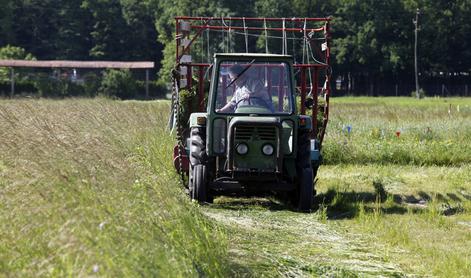 Tragedija v gozdu: umrl pod kolesi traktorja