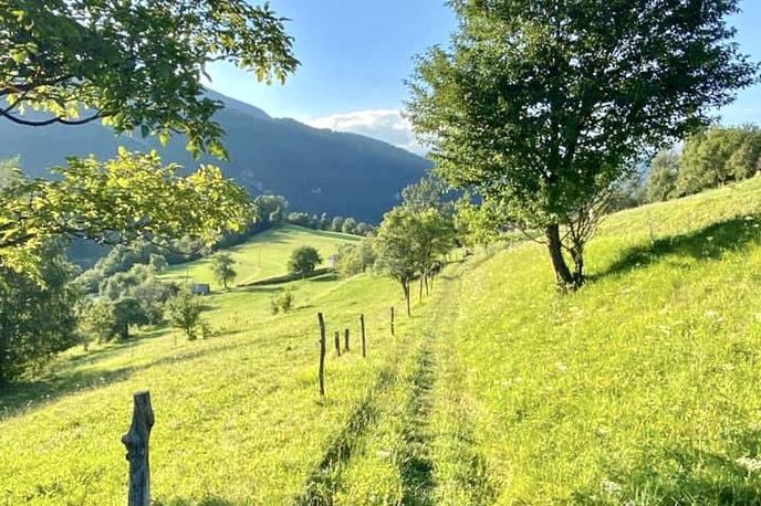 Juliana Trail 7  Travniška pot tik pred vasico Temljine v Baški grapi. | Foto Urška Uranjek