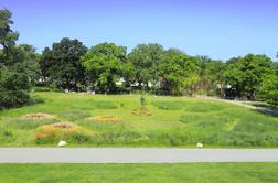 Drugačno pokopališče: zadnji počitek na cvetočem travniku