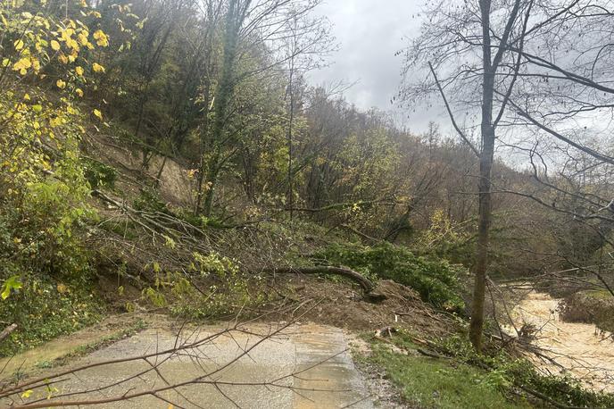 Goriška Brda, neurje, zemeljski plaz | Stanje na terenu si bodo danes temeljito ogledali.  | Foto STA