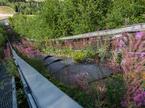 Harrachov