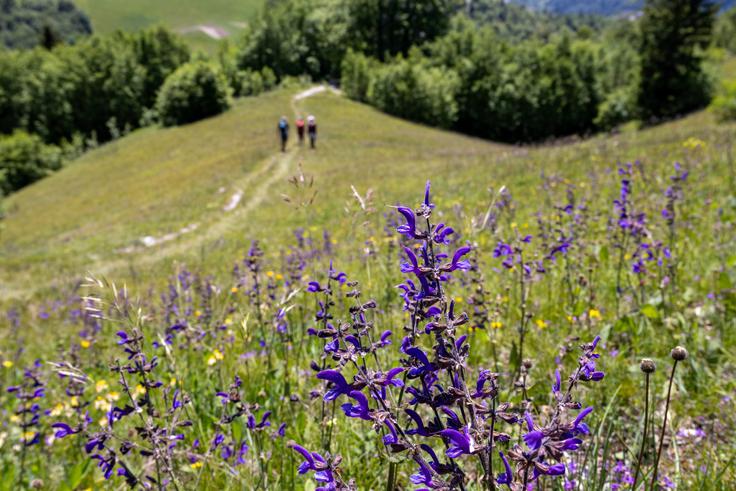 Pri sestopu je potrebne nekaj previdnosti. | Foto: Matej Podgoršek